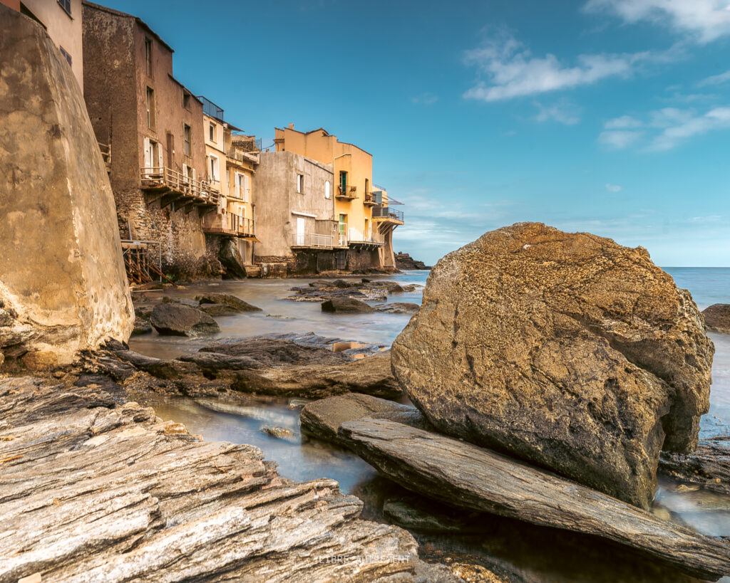 %photographe en Corse, paysages de corse, photos nature corse% %oiseaux de corse%