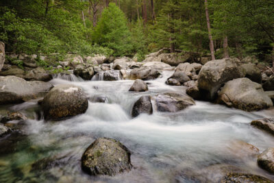 Rivière et forêt de Vizzavona, dans le centre corse
